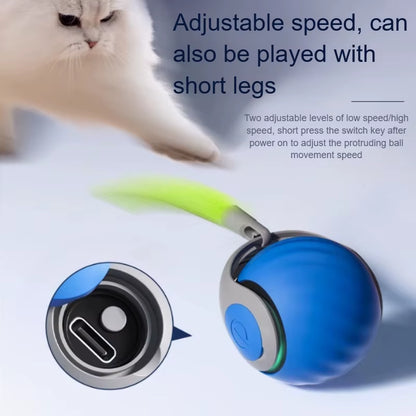 Cats Interactive Ball Toys, Automatic Rolling Ball with Faux Tail,Usb Rechargeable Smartelectric Pet Toy for Teaser and Training